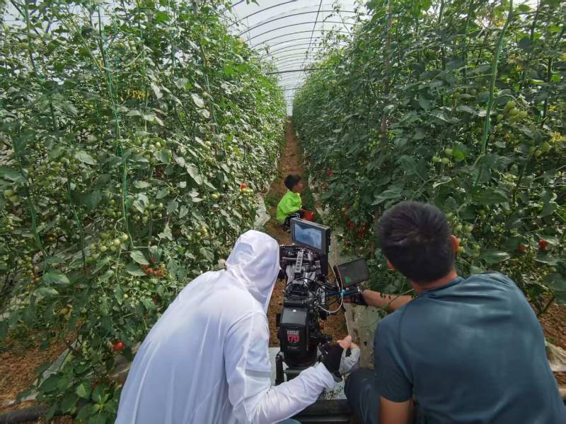 沈北新区产品宣传视频拍摄公司进阶指南，助力品牌抢占传播高地